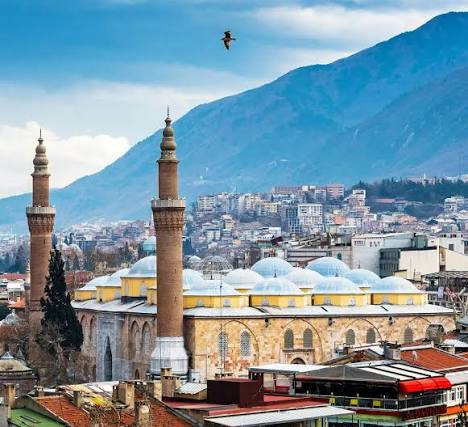 Bursa
